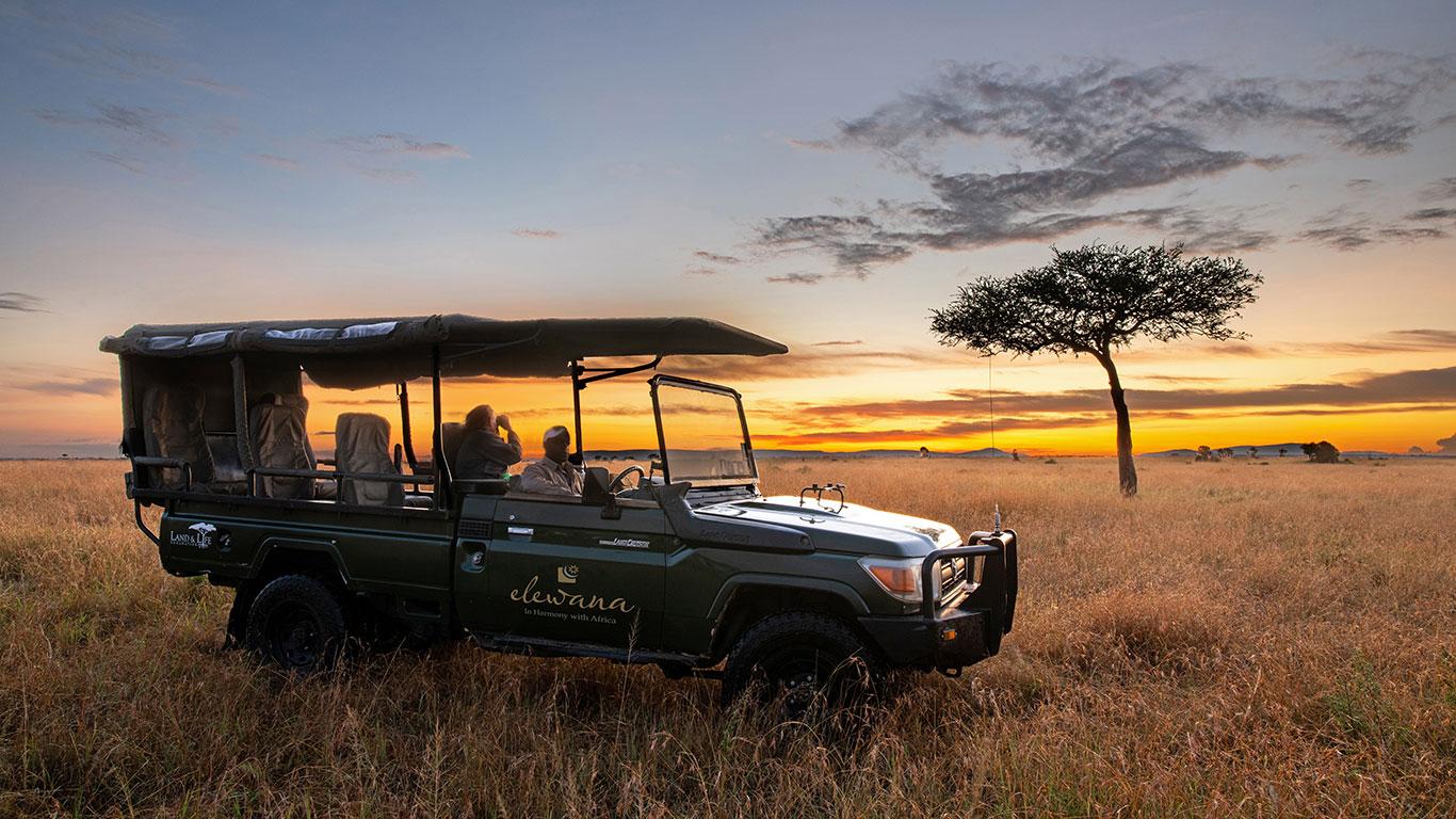 Safari game drive on the plains of the Masai Mara at sunrise