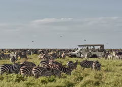 3vjigpcv_mw200217kusini_06_562